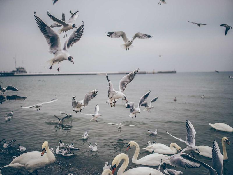 feedback screenshot 3